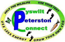 Peterston Connect logo
